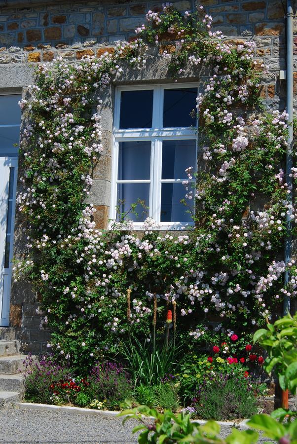 Maison Voie Verte Bed & Breakfast Bion Exterior foto